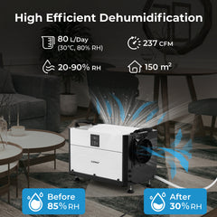 80L/Day Crawl Space Dehumidifier Commercial Dehumidifier with 3 Modes-Black