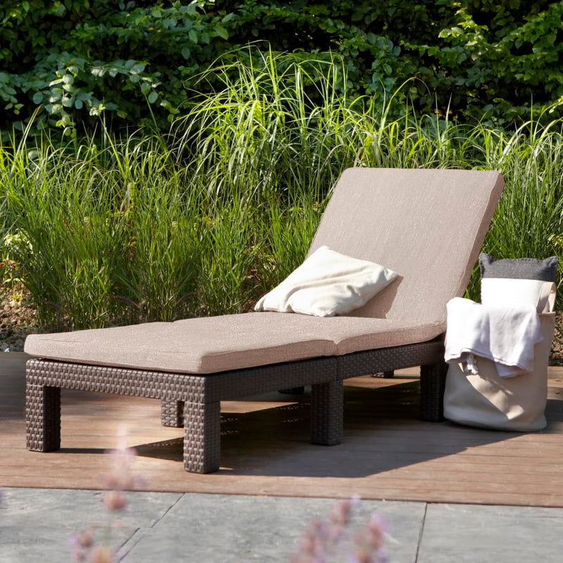 Keter Sunlounger with Cushion Daytona Brown