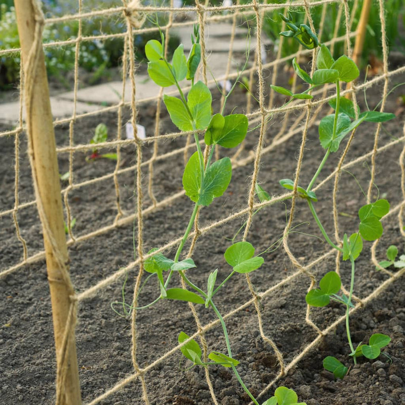 Nature Plant Climbing Netting Jute 1.8x5 m