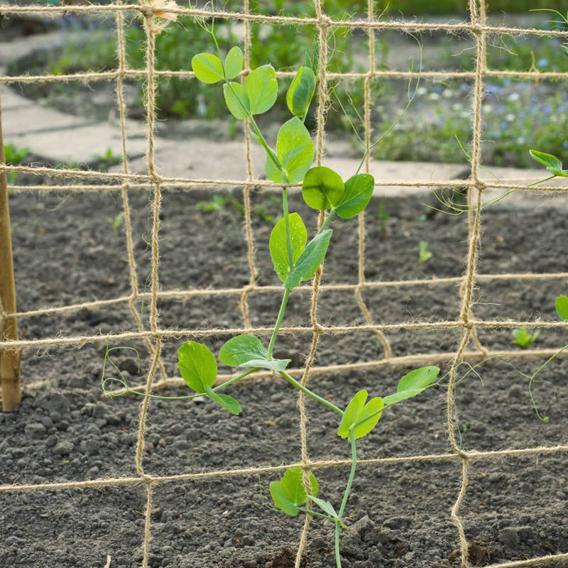 Nature Plant Climbing Netting Jute 1.8x5 m