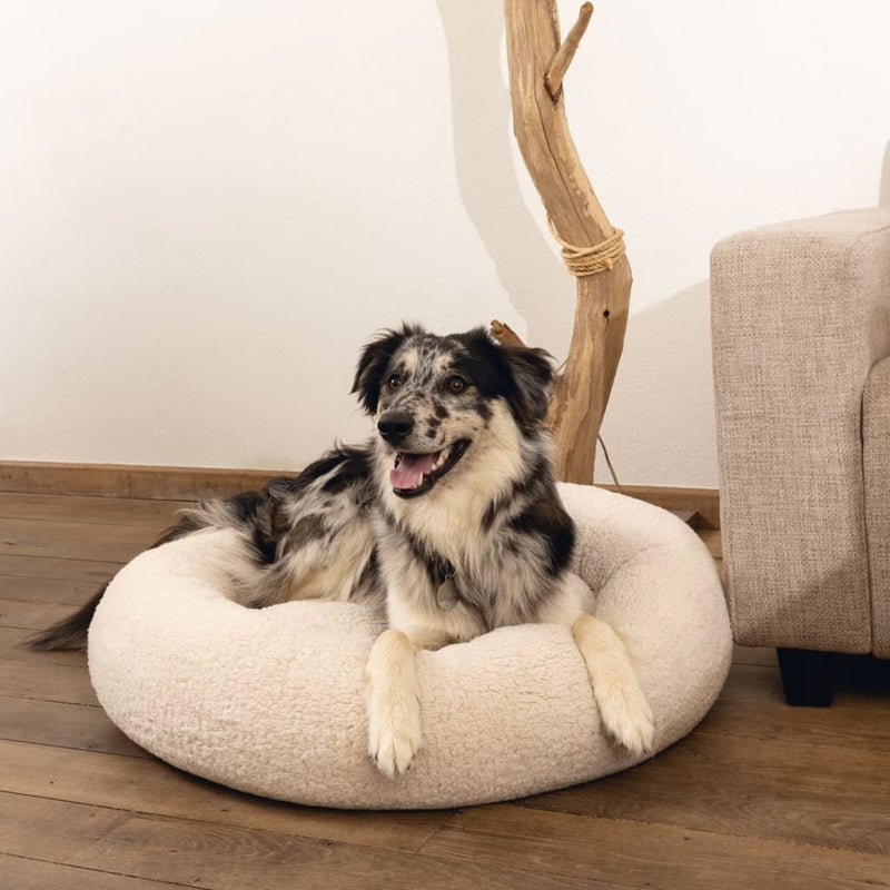 Beeztees Dog Bed Memory Foam Jaxx 50x20 cm Beige