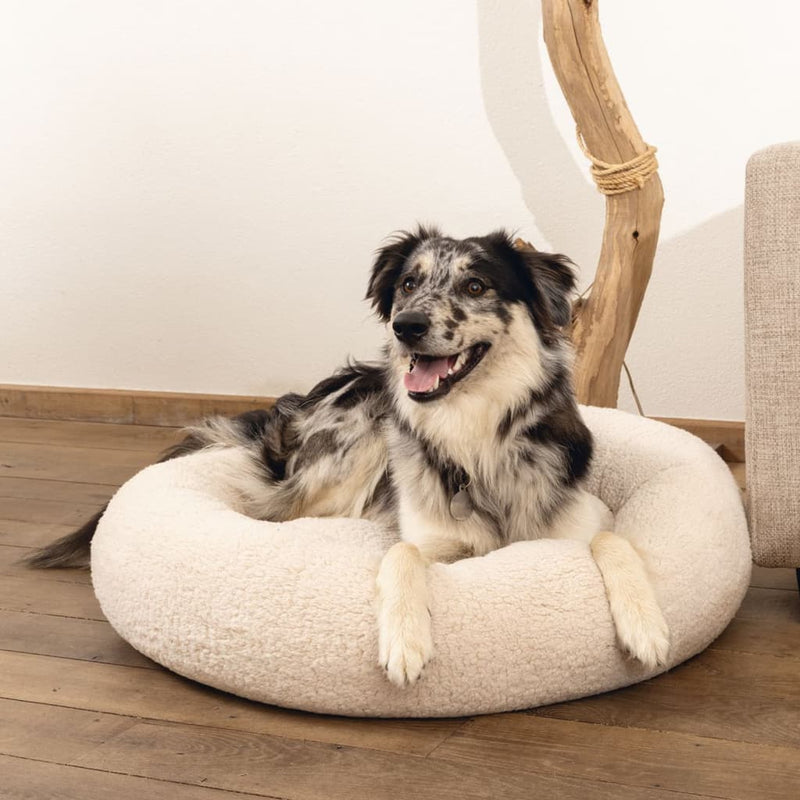 Beeztees Dog Bed Memory Foam Jaxx 60x25 cm Beige