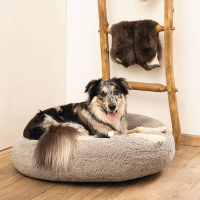 Beeztees Dog Bed Memory Foam Jaxx 60x25 cm Grey