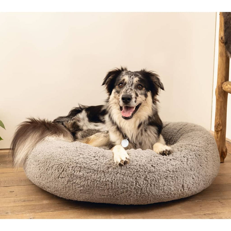 Beeztees Dog Bed Memory Foam Jaxx 60x25 cm Grey