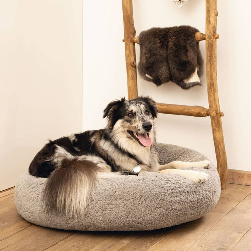 Beeztees Dog Bed Memory Foam Jaxx 60x25 cm Grey