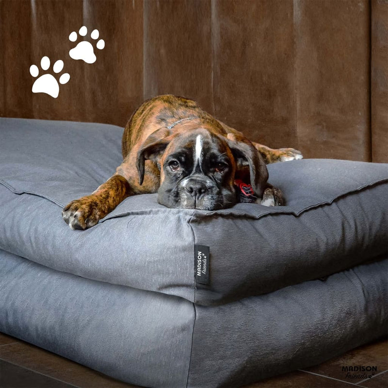 Madison Dog Lounge Panama 100x70x15 cm Grey