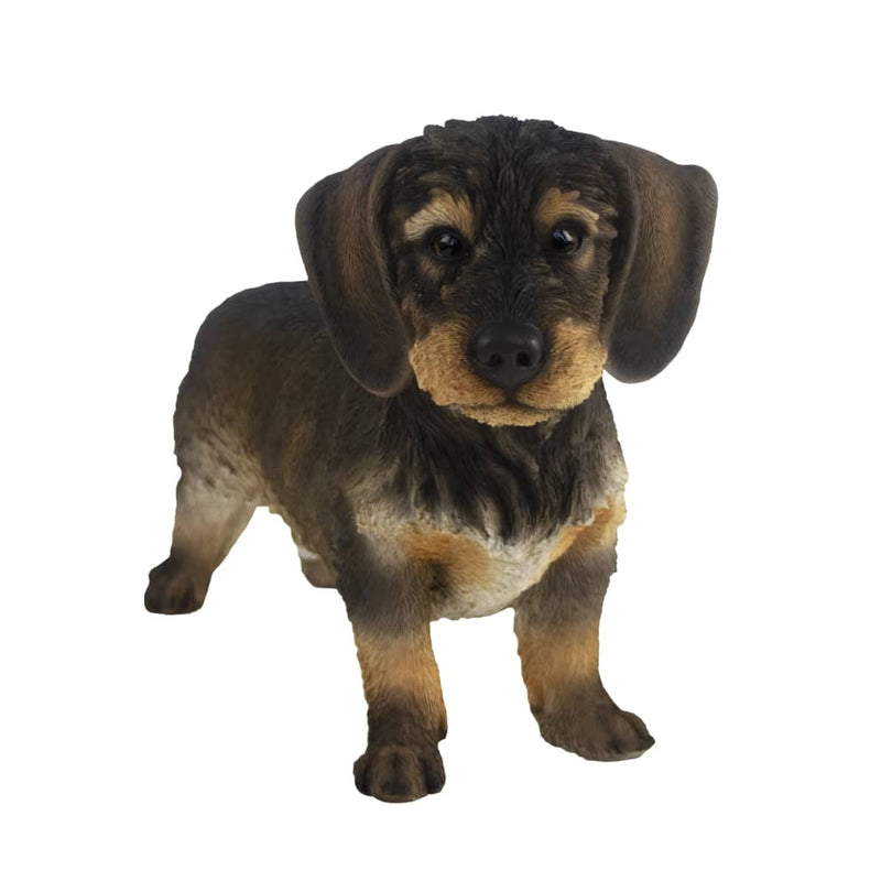 Esschert Design Wirehaired Dachshund 50x15x27.8cm