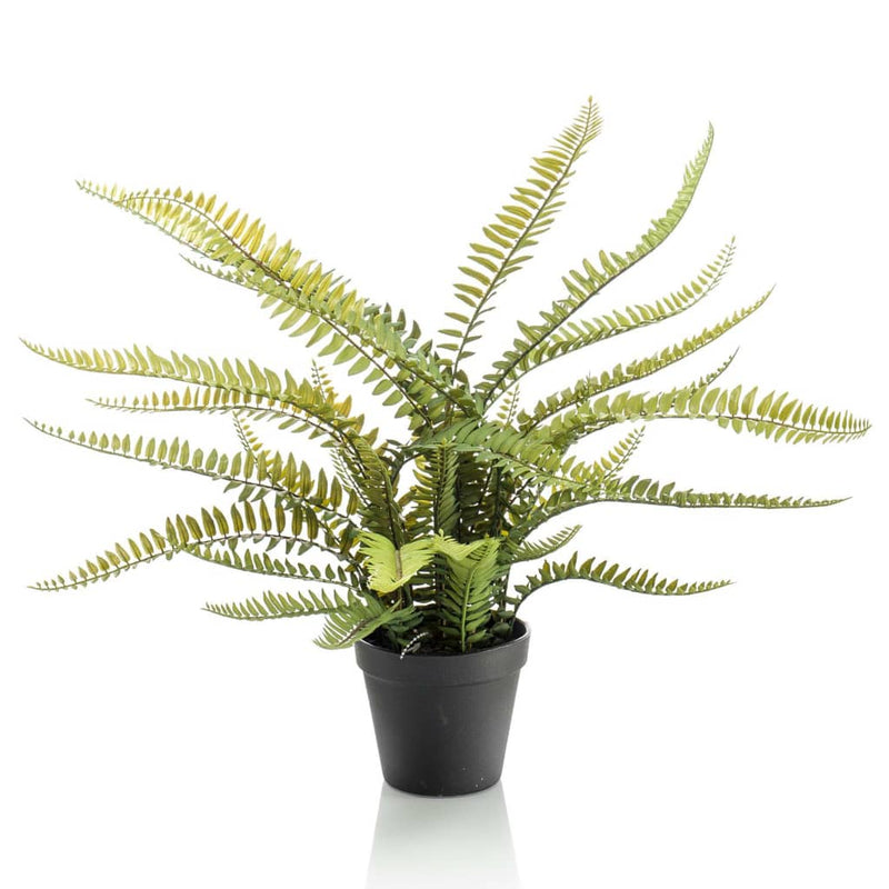 Emerald Artificial Boston Fern 55 cm in Plastic Pot