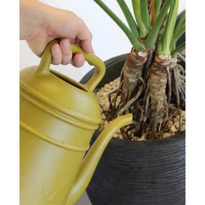 Capi Watering Can Xala Lungo 12 L Curry Yellow