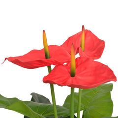 vidaXL Artificial Anthurium Plant with Pot 90 cm Red and Yellow 2