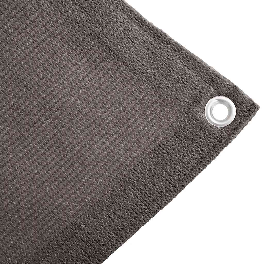 vidaXL Tent Carpet 250x500 cm Anthracite 4