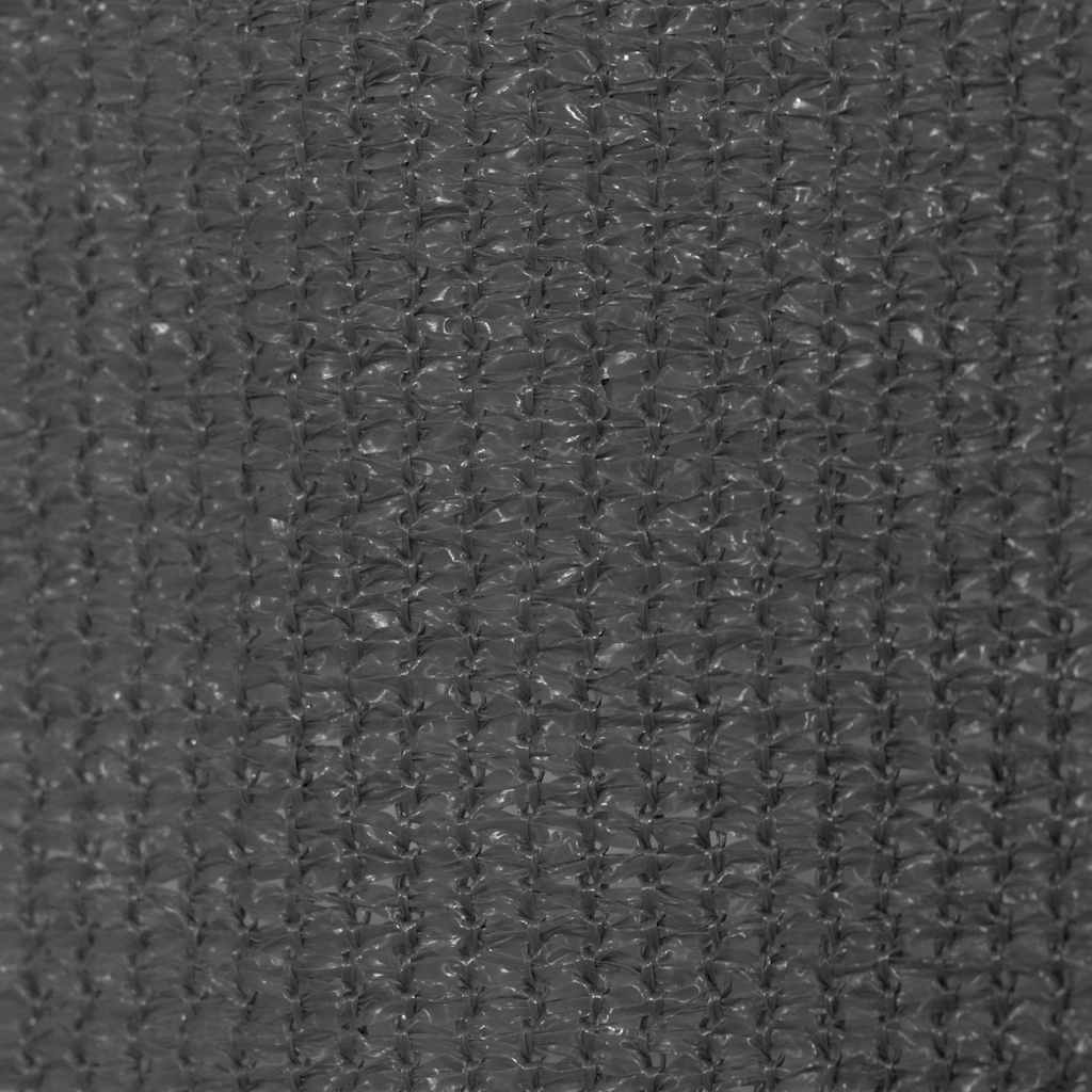 vidaXL Outdoor Roller Blind 125(W)x140(H) cm Anthracite 5