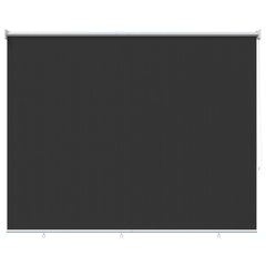 vidaXL Outdoor Roller Blind 205(W)x140(H) cm Anthracite 2