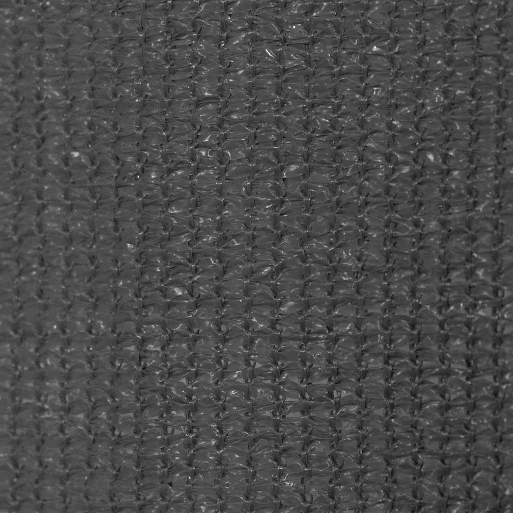 vidaXL Outdoor Roller Blind 225(W)x140(H) cm Anthracite 5