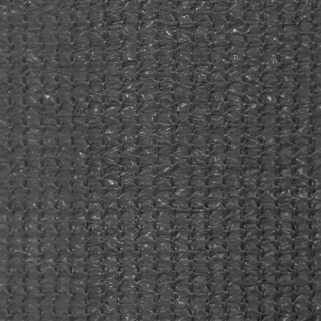 vidaXL Outdoor Roller Blind 145(W)x230(H) cm Anthracite 5