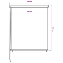 vidaXL Outdoor Roller Blind 165(W)x230(H) cm Anthracite 6