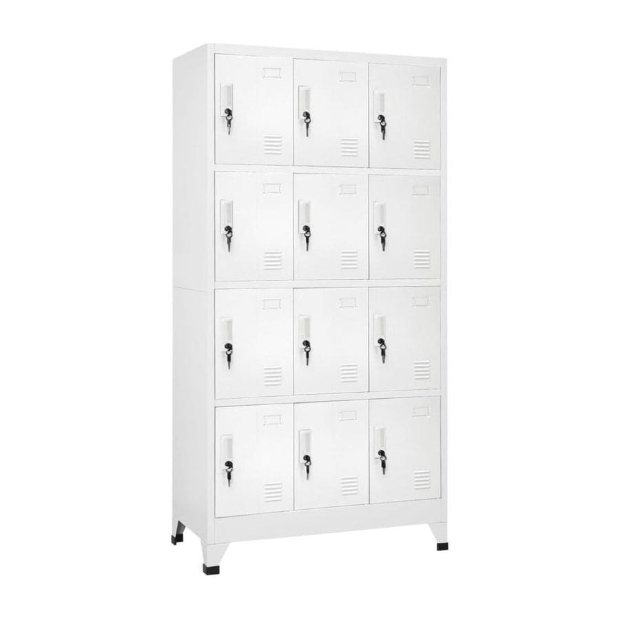 Locker Cabinet with 12 Compartments