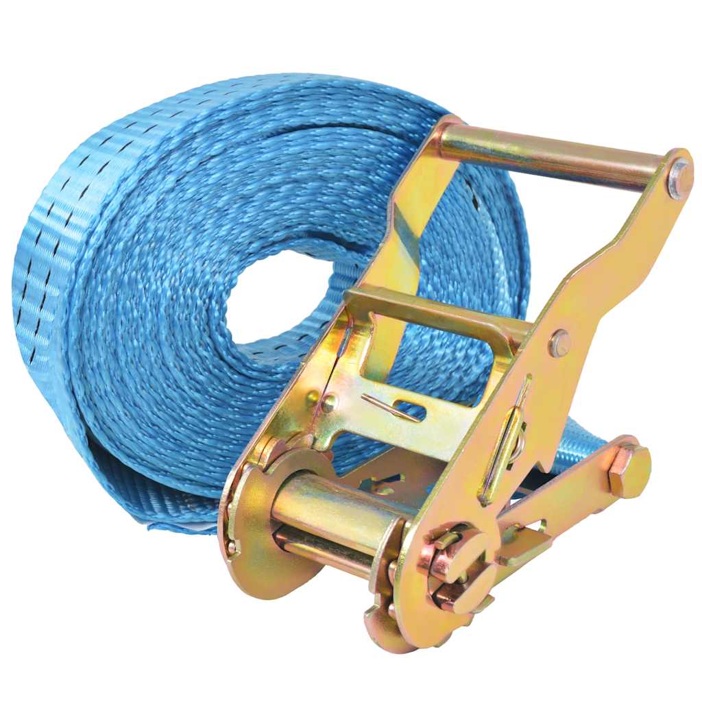 vidaXL Ratchet Tie Down Straps 4 pcs 2 Tonnes 6mx38mm Blue 2