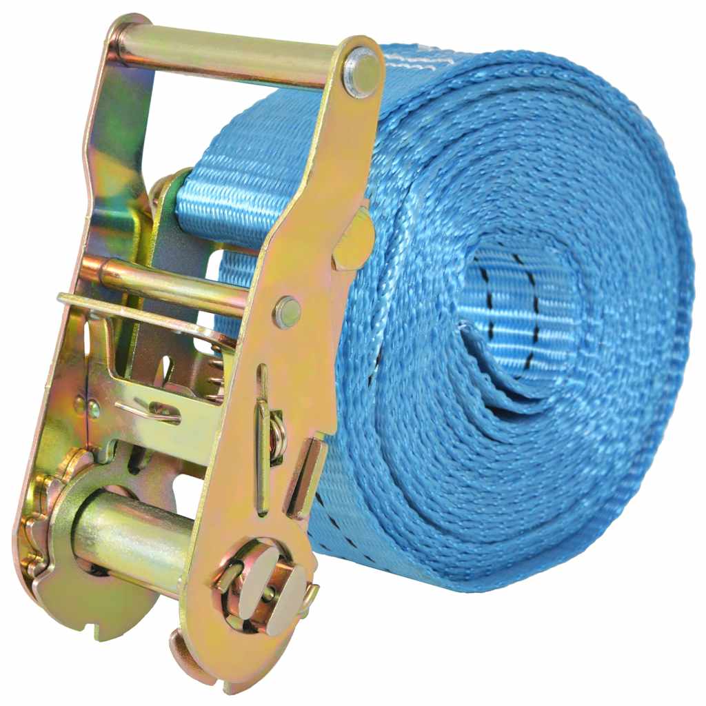 vidaXL Ratchet Tie Down Straps 4 pcs 2 Tonnes 6mx38mm Blue 3