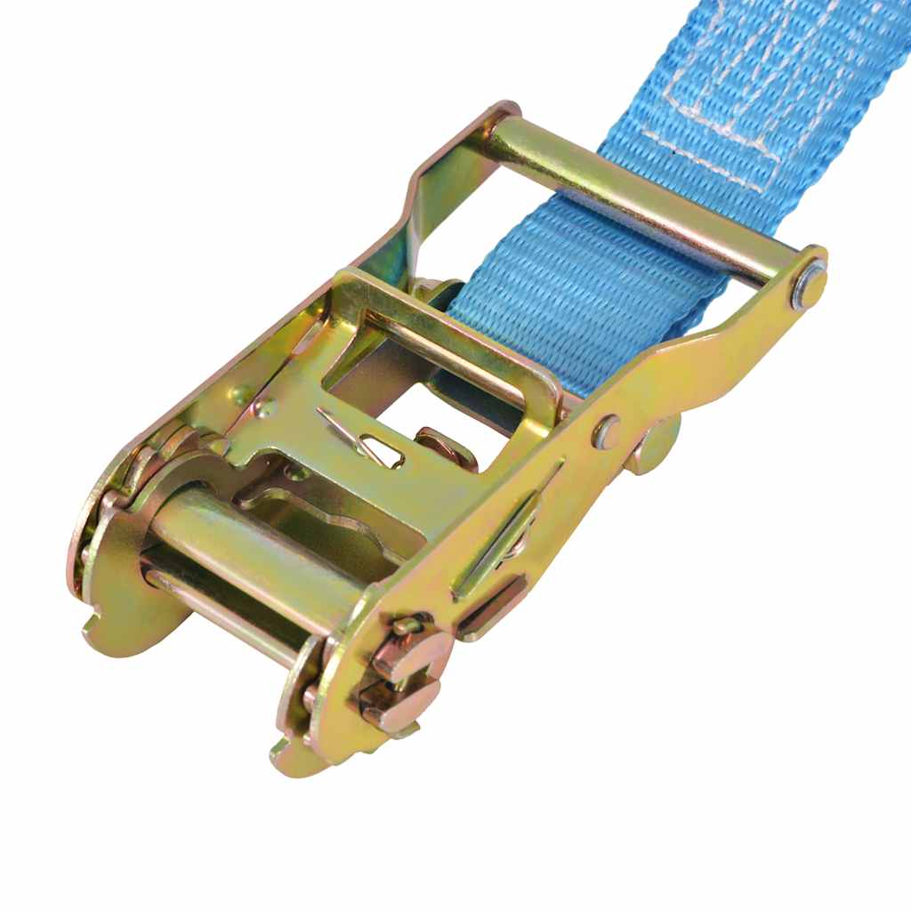 vidaXL Ratchet Tie Down Straps 4 pcs 2 Tonnes 6mx38mm Blue 5