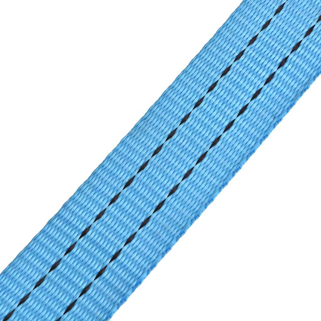 vidaXL Ratchet Tie Down Straps 4 pcs 2 Tonnes 6mx38mm Blue 6