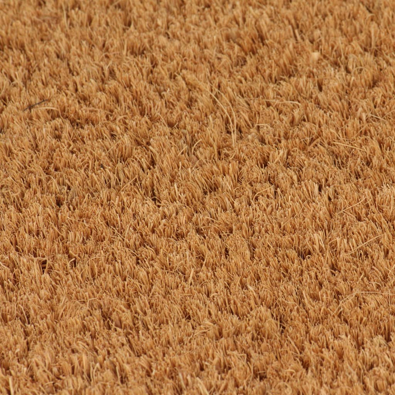 Doormats 2 pcs Coir 24 mm 40x60 cm Natural