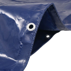 vidaXL Tarpaulin 650 g/m² 2x3 m Blue 2