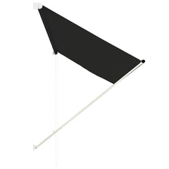 vidaXL Awning | Anthracite | Steel frame, polyester fabric with PA coating 3