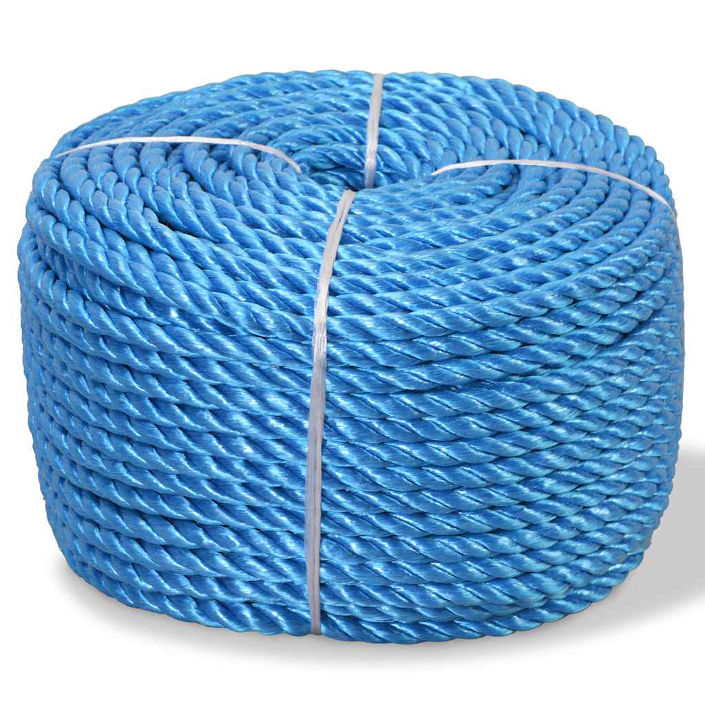 vidaXL Twisted Rope Polypropylene 10 mm 250 m Blue 1