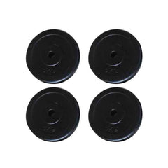 vidaXL Weight Plates 4 pcs 20 kg 2