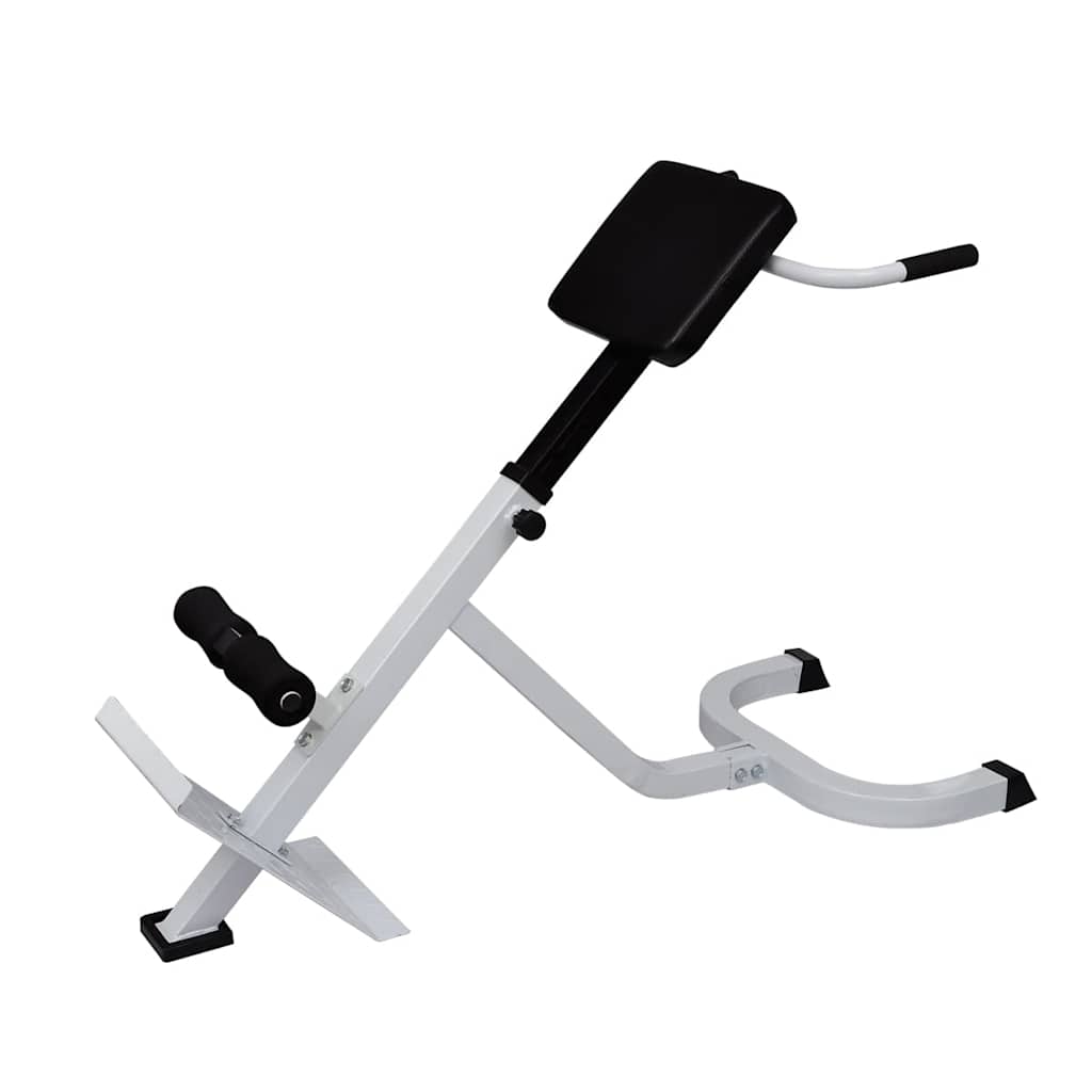 90361 vidaXL Back Extension Bench 1