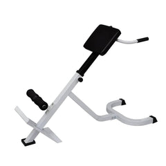 90361 vidaXL Back Extension Bench 1