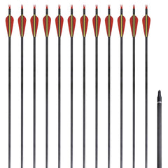 Standard Recurve Bow Arrows 30" 0.76 cm Carbon 12 pcs 1