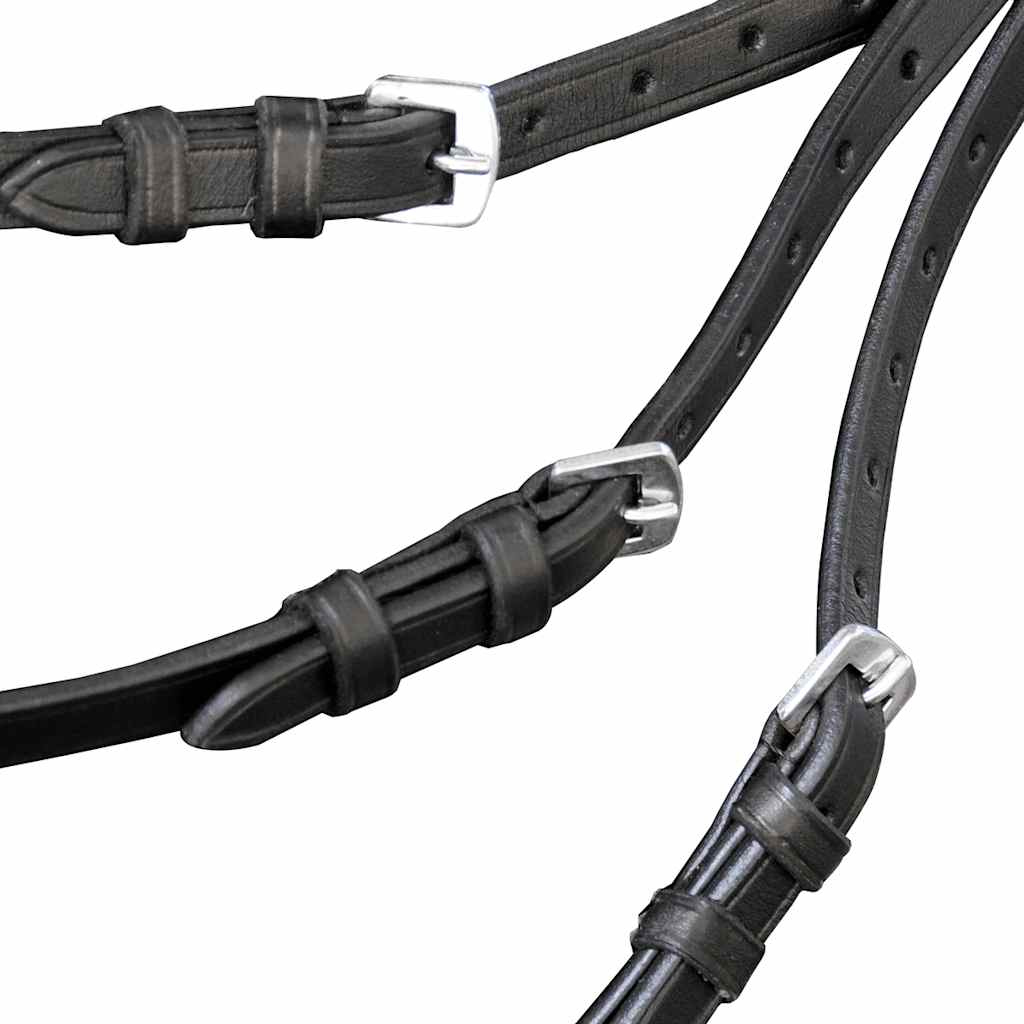 vidaXL Leather Flash Bridle with Reins and Bit Black Cob 3