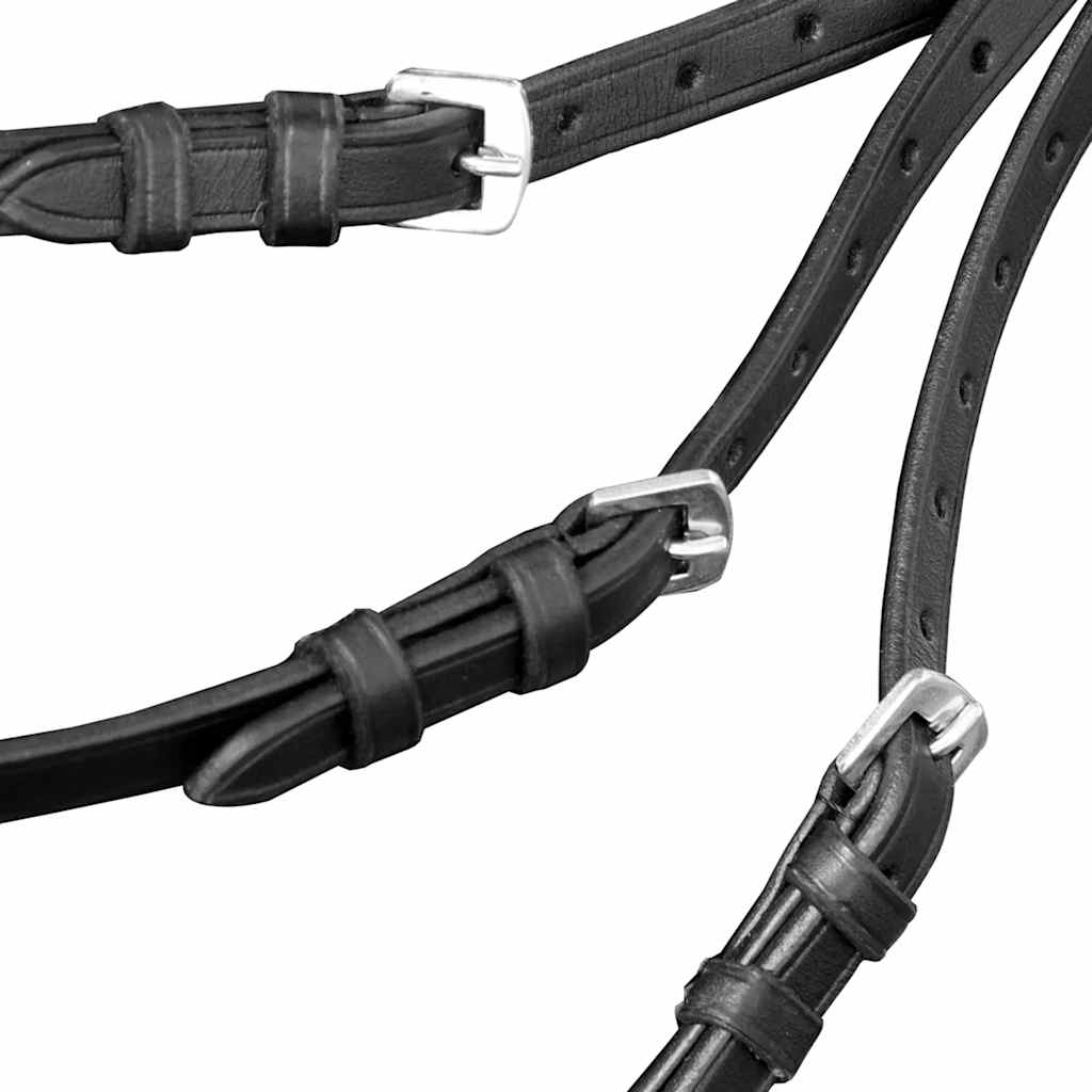vidaXL Leather Flash Bridle with Reins and Bit Black Full 3