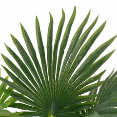 vidaXL Artificial Plant | Green and brown | Plastic and wood | Medium 2