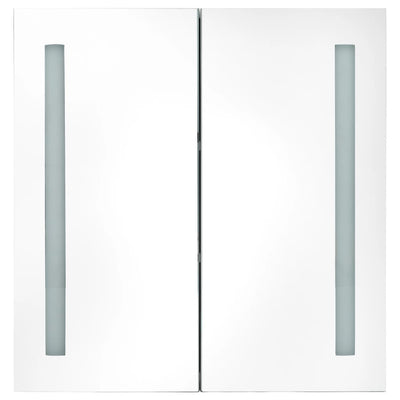 LED Bathroom Mirror Cabinet 60x14x62 cm