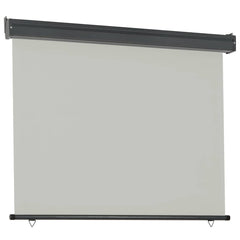 vidaXL Balcony Side Awning 125x250 cm Grey 3
