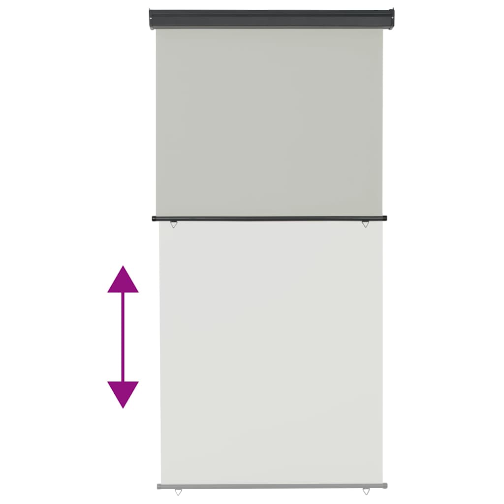 vidaXL Balcony Side Awning 125x250 cm Grey 5
