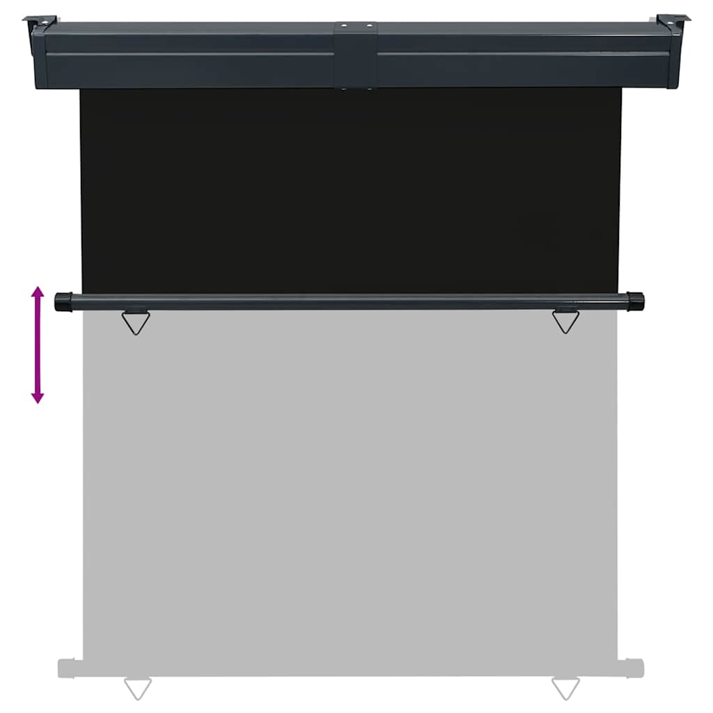 vidaXL Balcony Side Awning 175x250 cm Black 5