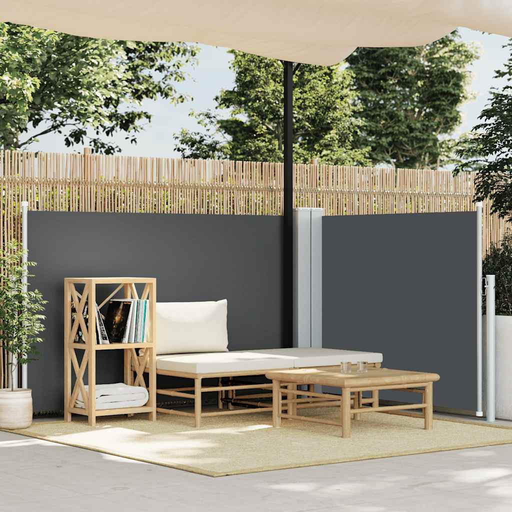 vidaXL Retractable Side Awning Anthracite 100x600 cm 1