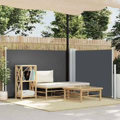 vidaXL Retractable Side Awning Anthracite 100x600 cm 1