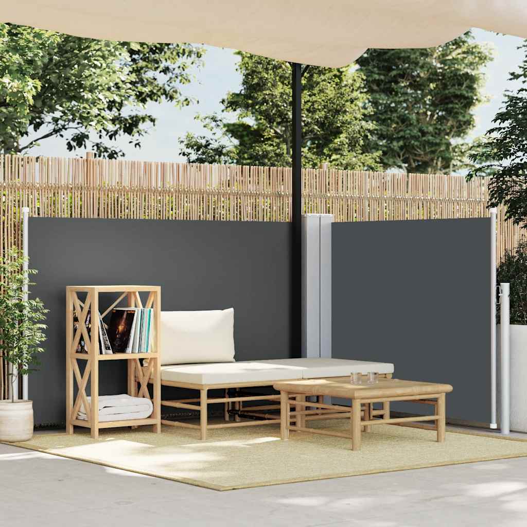 vidaXL Retractable Side Awning Anthracite 120x1000 cm 1