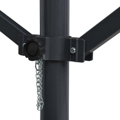 vidaXL Free Standing Awning 600x300 cm Anthracite 6