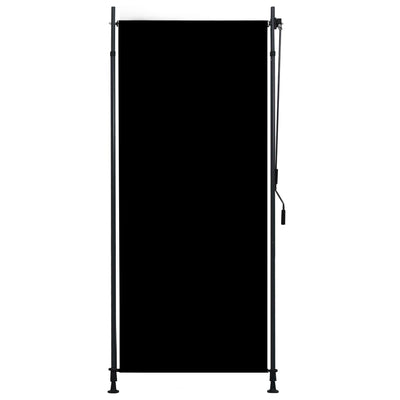 Outdoor Roller Blind 100x270 cm Anthracite