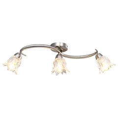 vidaXL Ceiling Lamp | Satin Chrome, Transparent 1