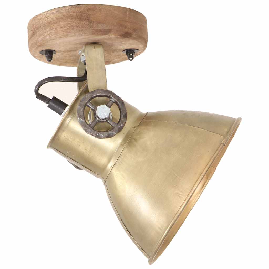 vidaXL Industrial Wall/Ceiling Lamps 2 pcs Brass 20x25 cm E27 4