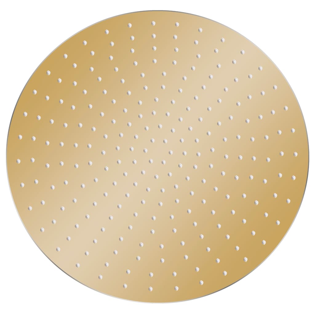 vidaXL Rain Shower Head Stainless Steel 50 cm Round Gold 2