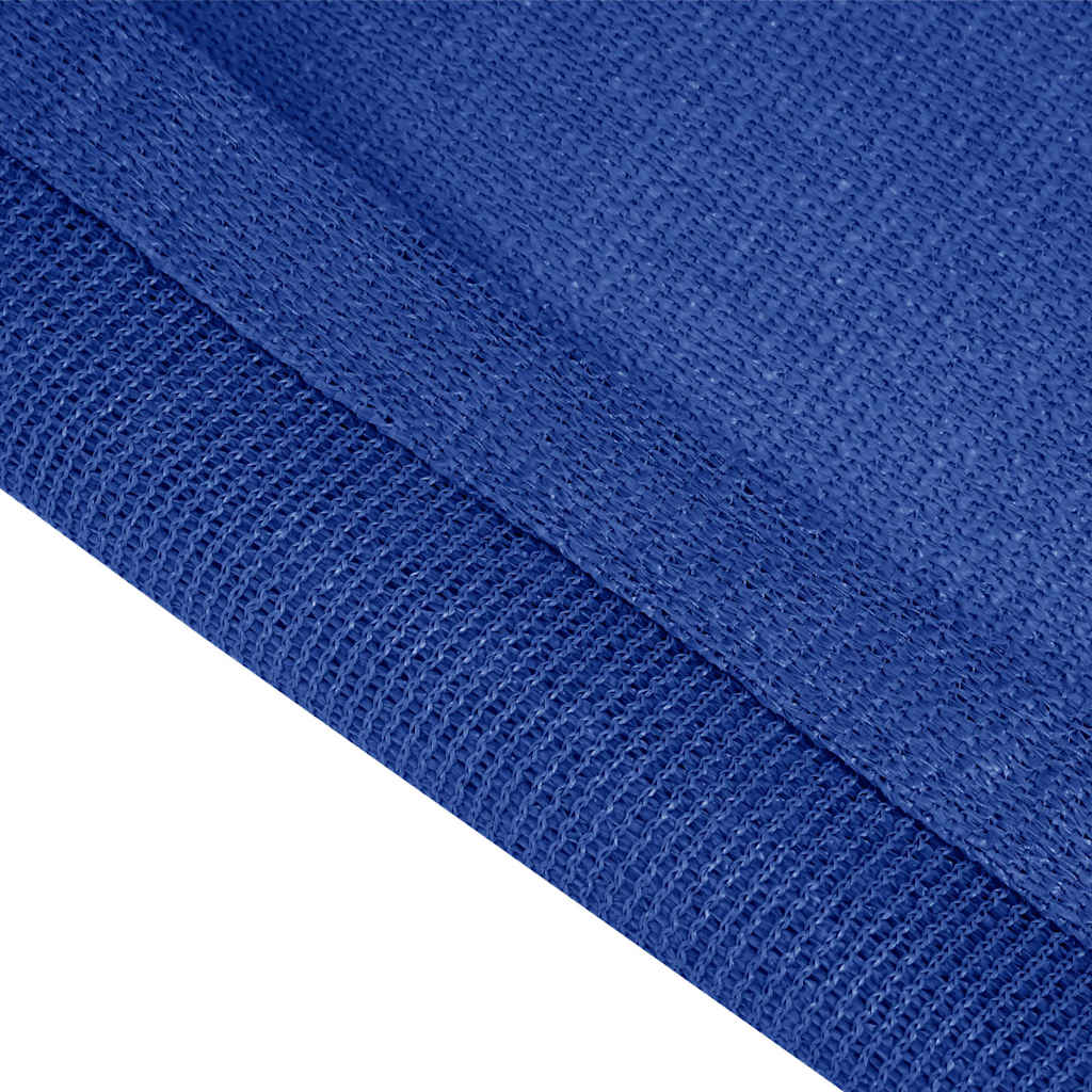 vidaXL Tent Carpet 250x500 cm Blue 5