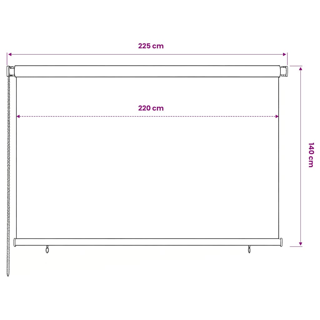 vidaXL Outdoor Roller Blind 225(W)x140(H) cm Blue HDPE 6